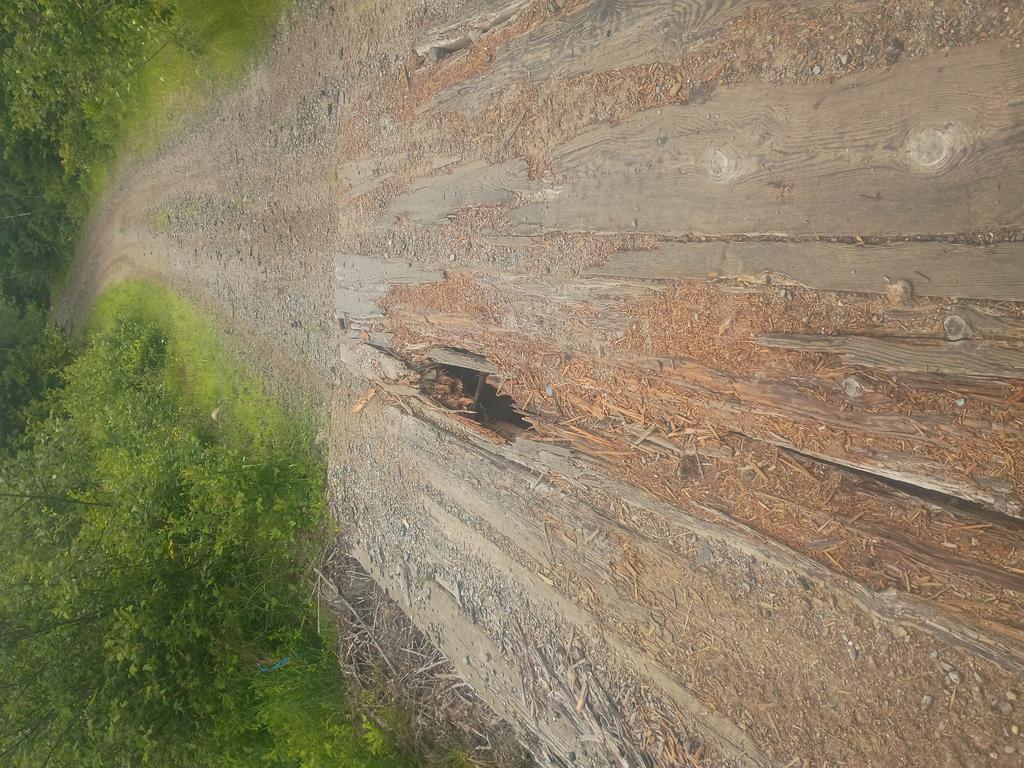 Zxrperf Trail Photo