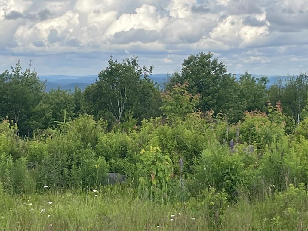 Alan6041@Comcast.Net Trail Photo