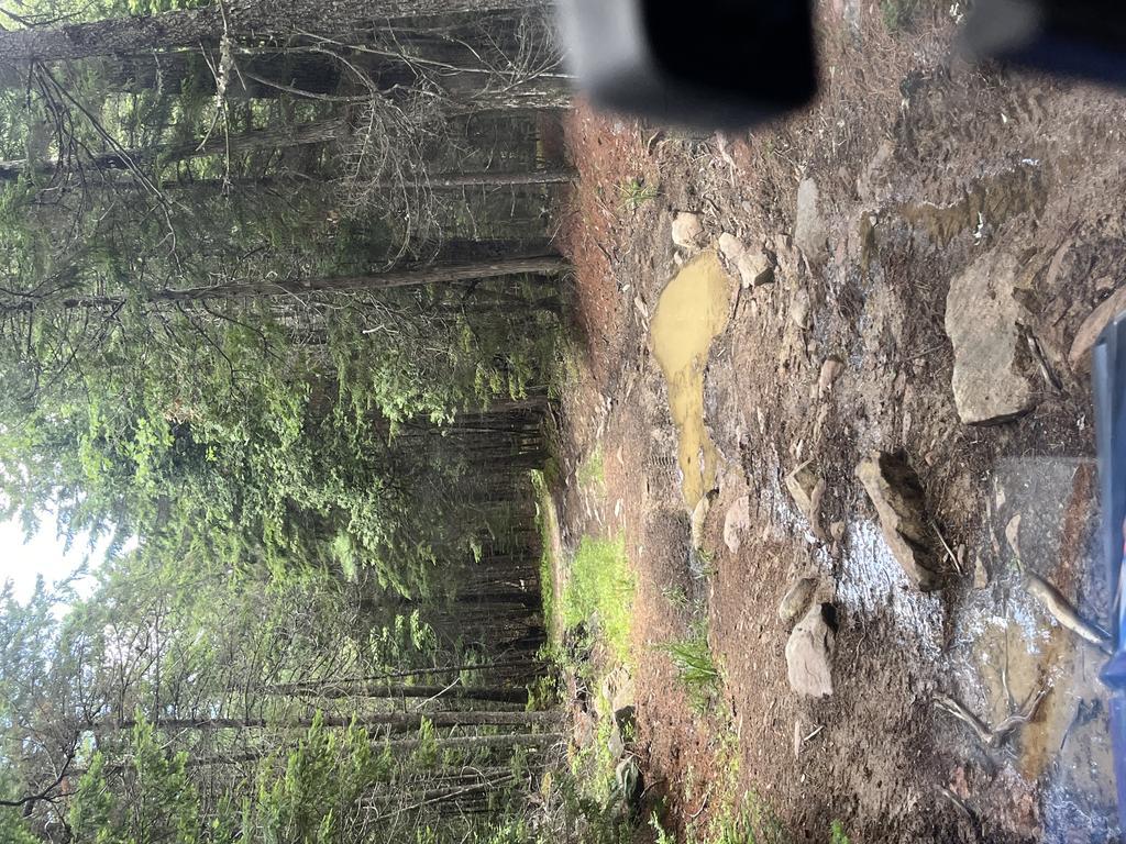 Alan6041@Comcast.Net Trail Photo