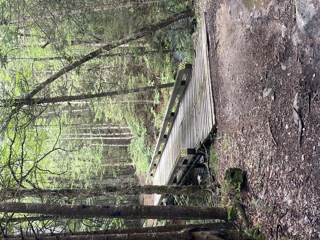 Alan6041@Comcast.Net Trail Photo