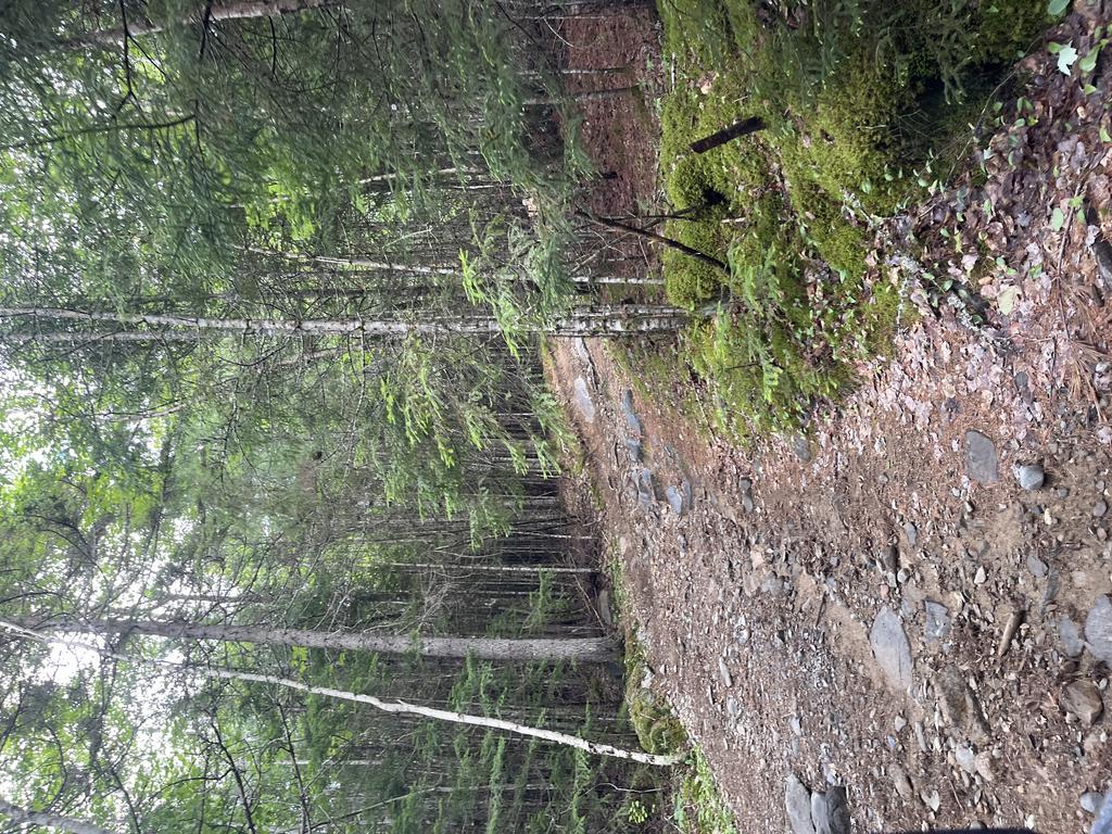 alan6041@comcast.net Trail Photo