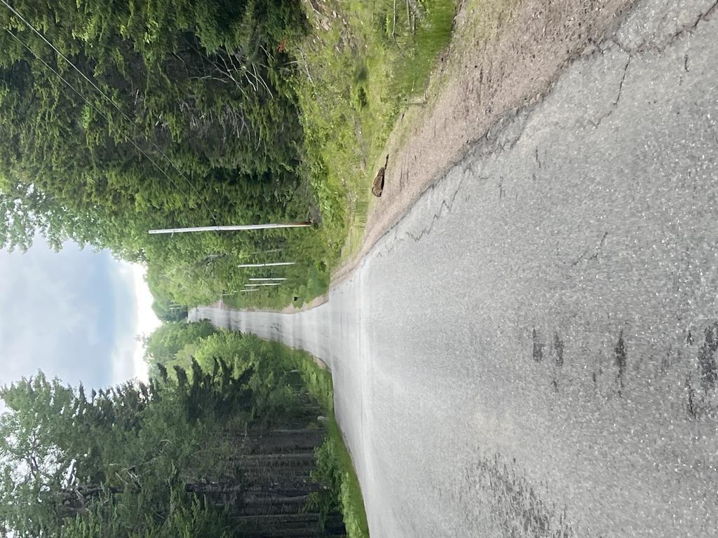 alan6041@comcast.net Trail Photo