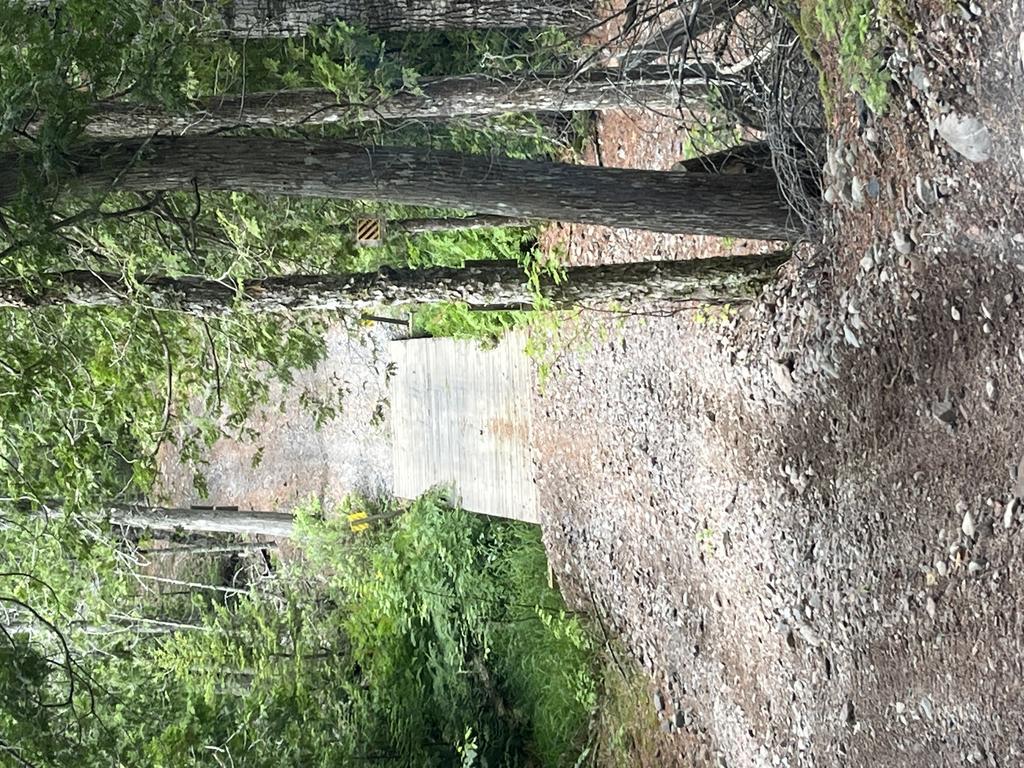 alan6041@comcast.net Trail Photo