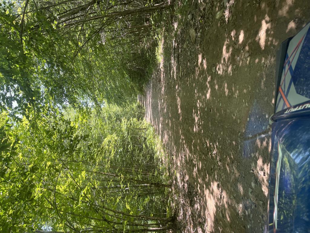 Alan6041@Comcast.Net Trail Photo