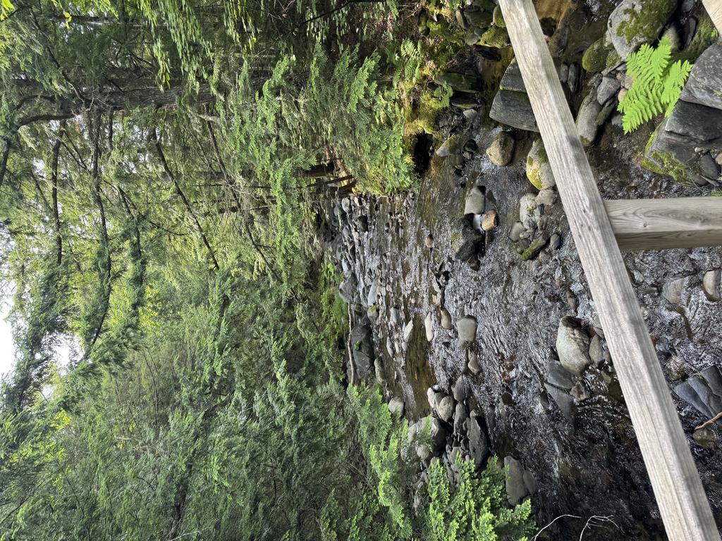 Cashline13 Trail Photo