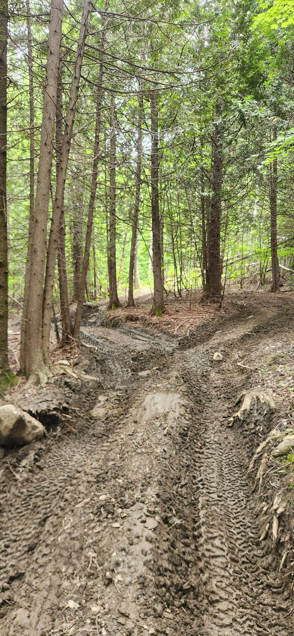 kmuz700 Trail Photo