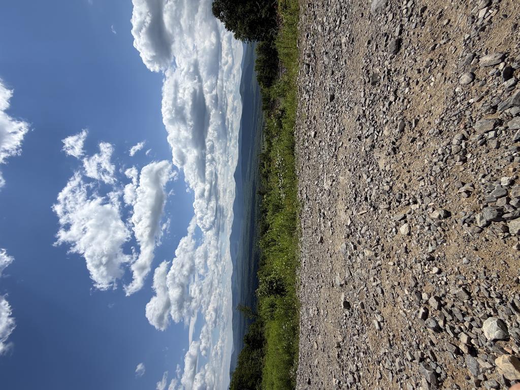 Jasminegirroir Trail Photo