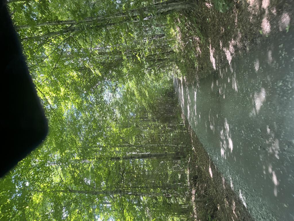Alan6041@Comcast.Net Trail Photo