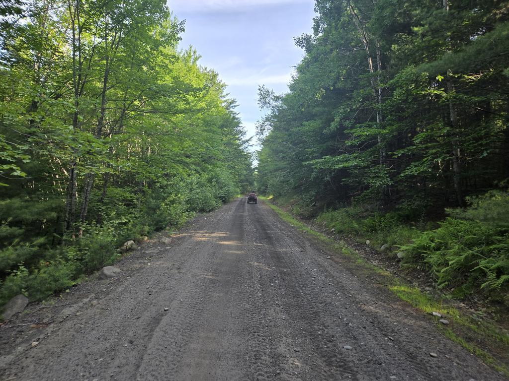 cmatv.tm@gmail.com Trail Photo