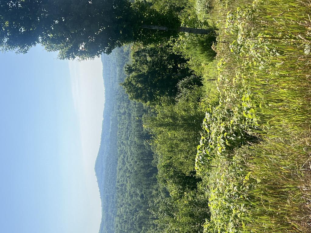 5bwmjhhhy6@Privaterelay.Appleid.Com Trail Photo