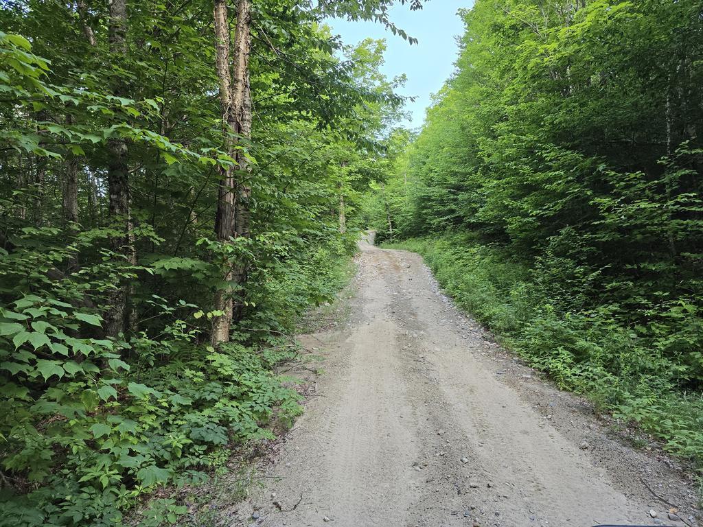 eric Trail Photo