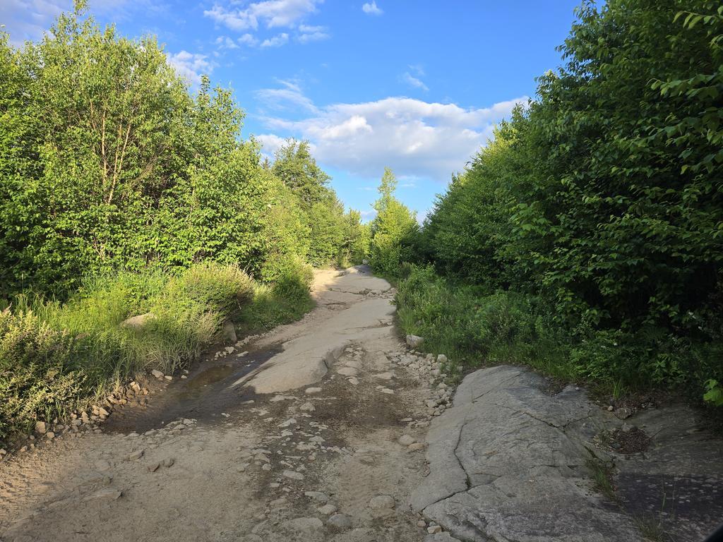 eric Trail Photo
