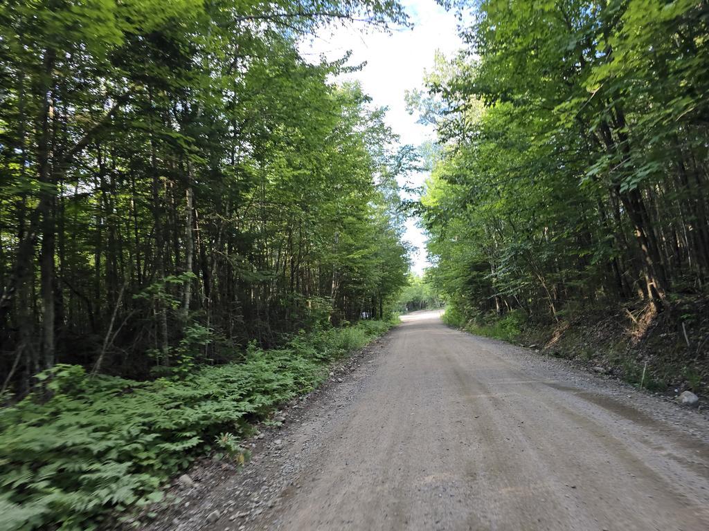 Eric Trail Photo