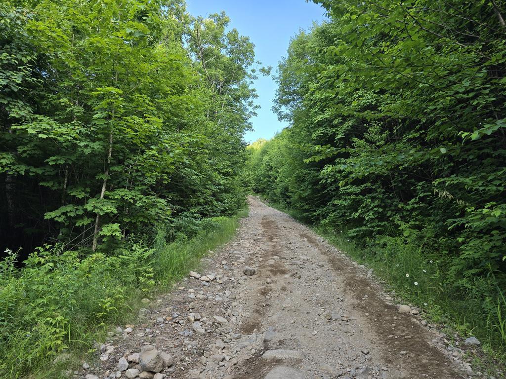 eric Trail Photo