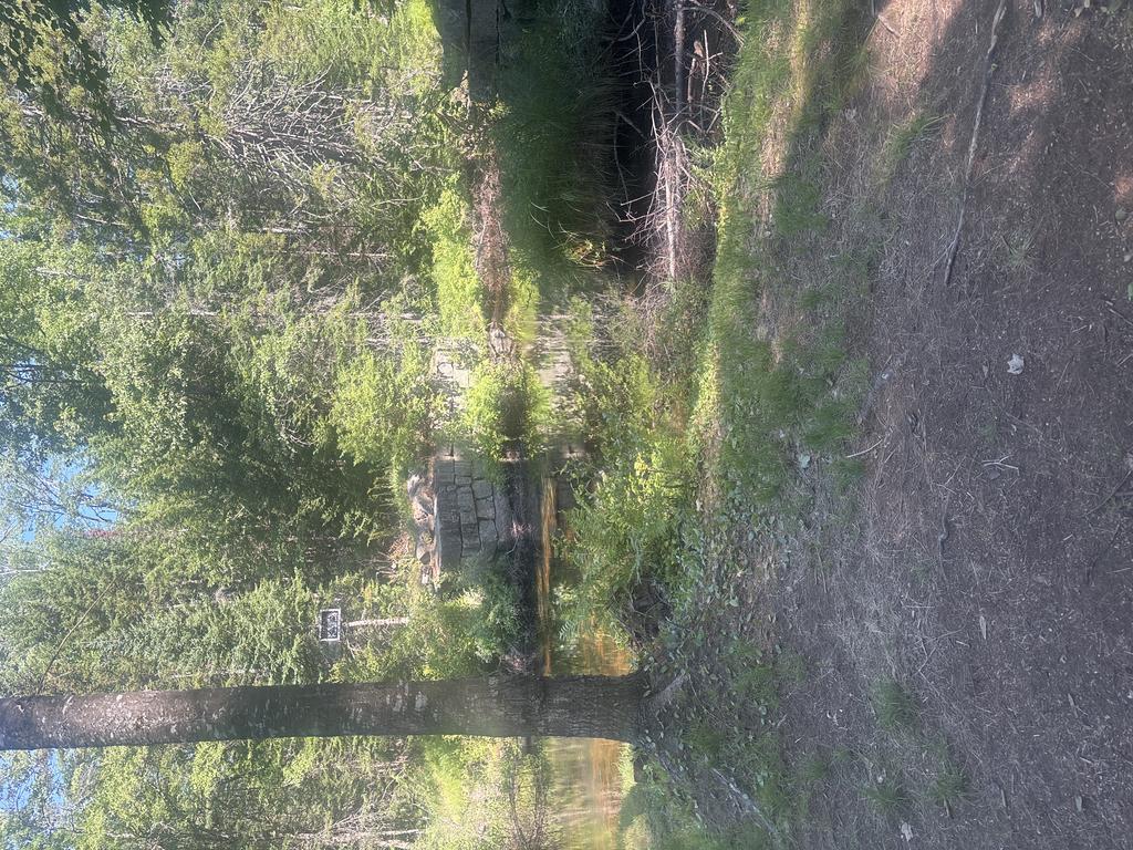 Mike1962 Trail Photo