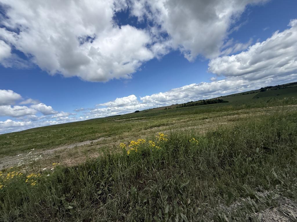 JJGunning Trail Photo