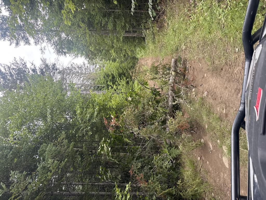 chris Trail Photo