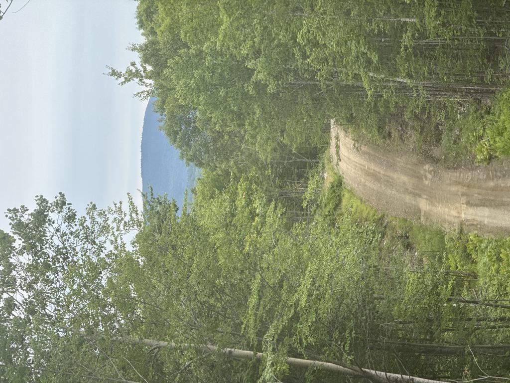 chris Trail Photo