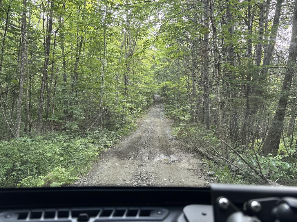 Grenyabunch Trail Photo