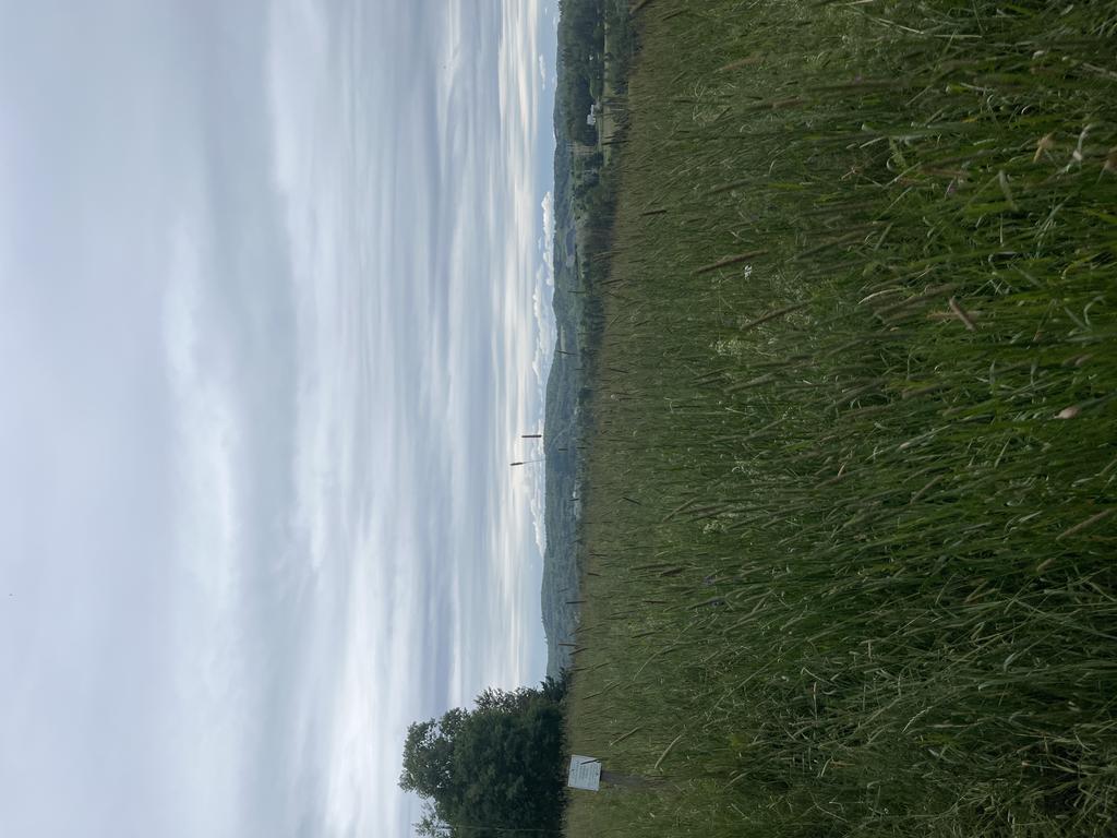 alan6041@comcast.net Trail Photo