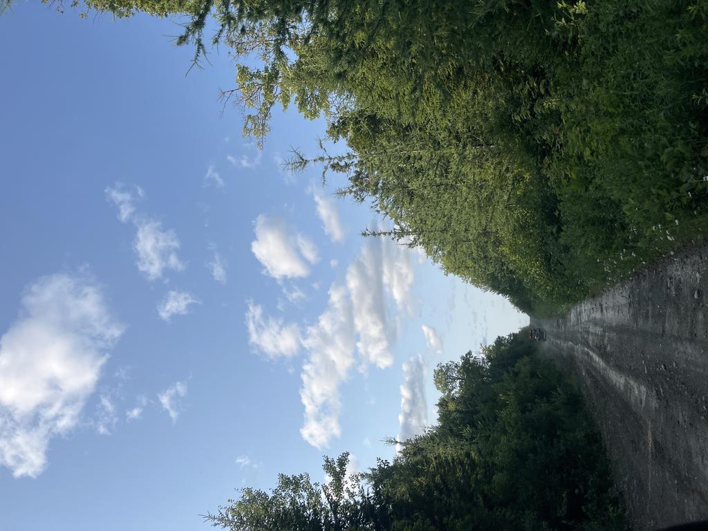 alan6041@comcast.net Trail Photo