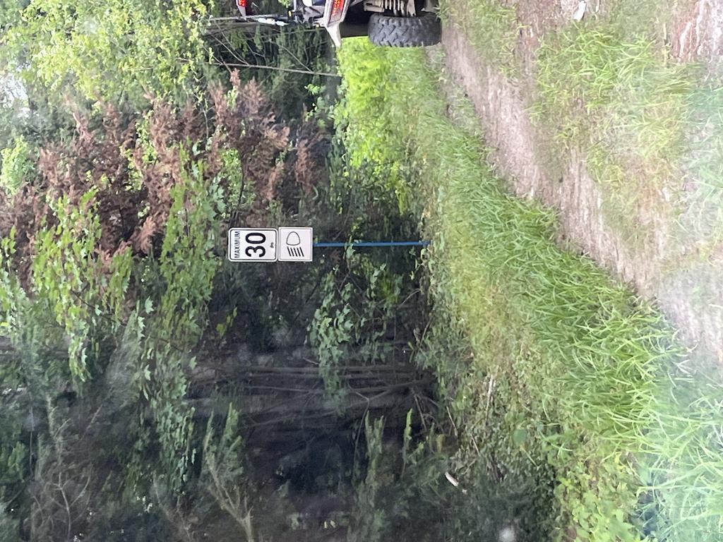 alan6041@comcast.net Trail Photo