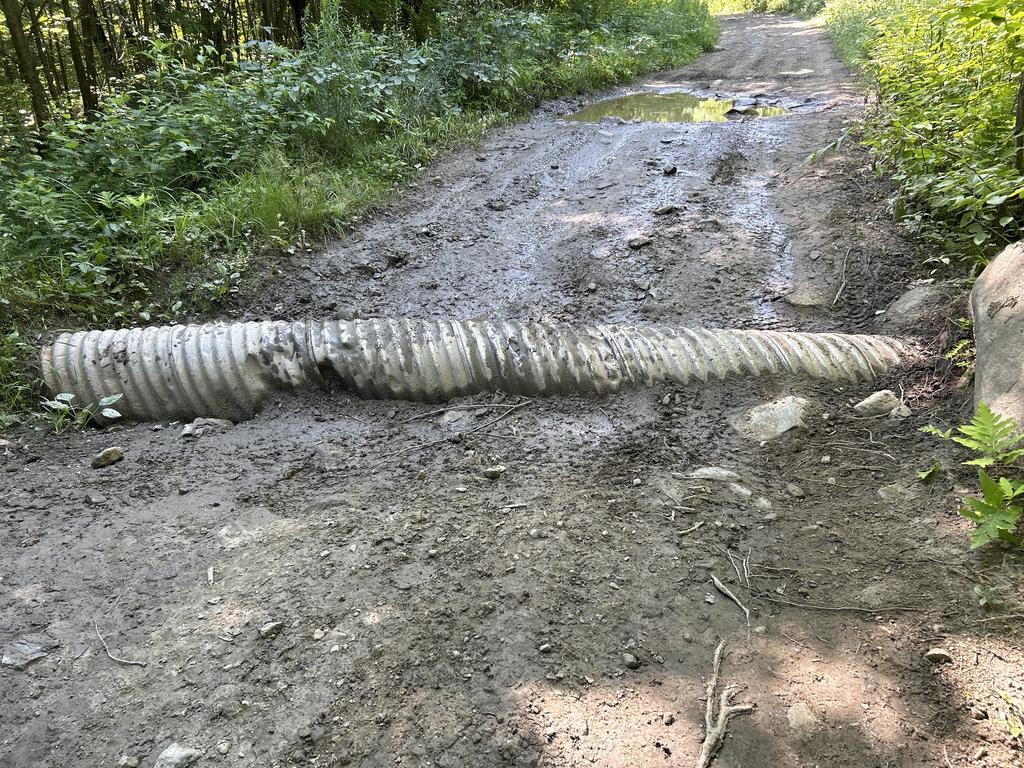bickbeef Trail Photo