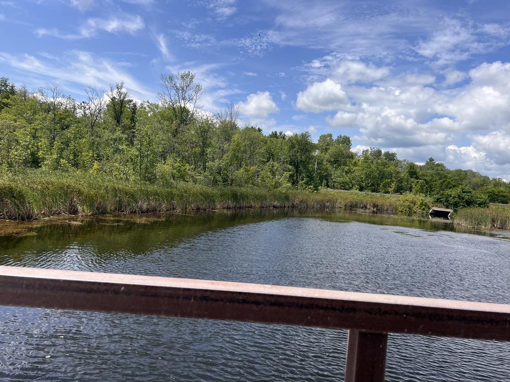 Guerin27 Trail Photo