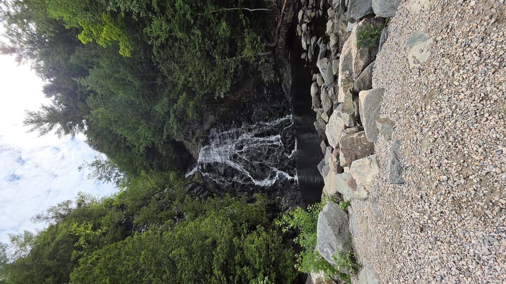 ROBBSRACINGENGINES Trail Photo