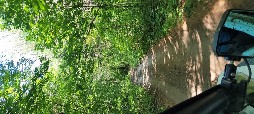 elizabeth Trail Photo