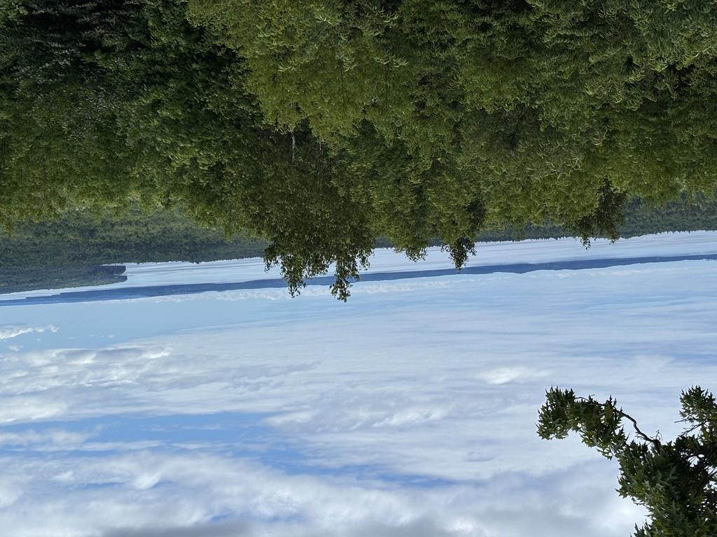 Toodlesreb Trail Photo