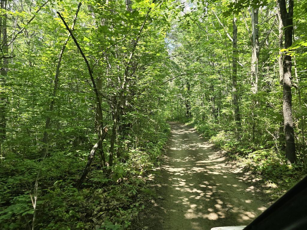 eric Trail Photo