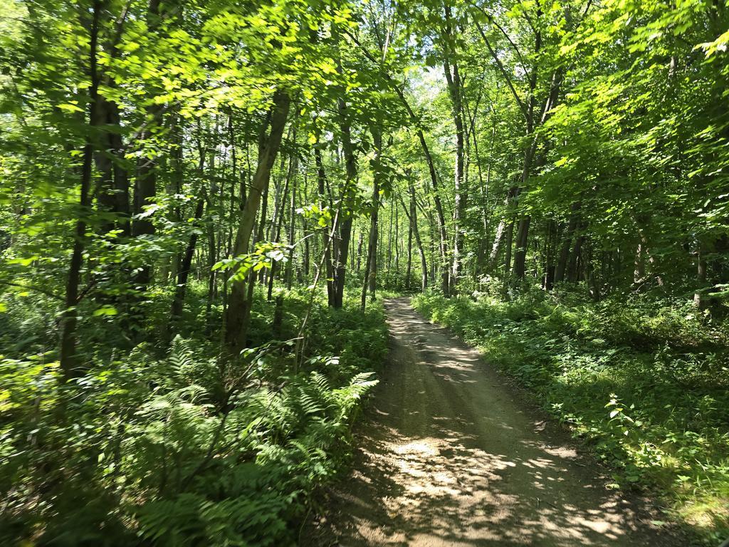 eric Trail Photo