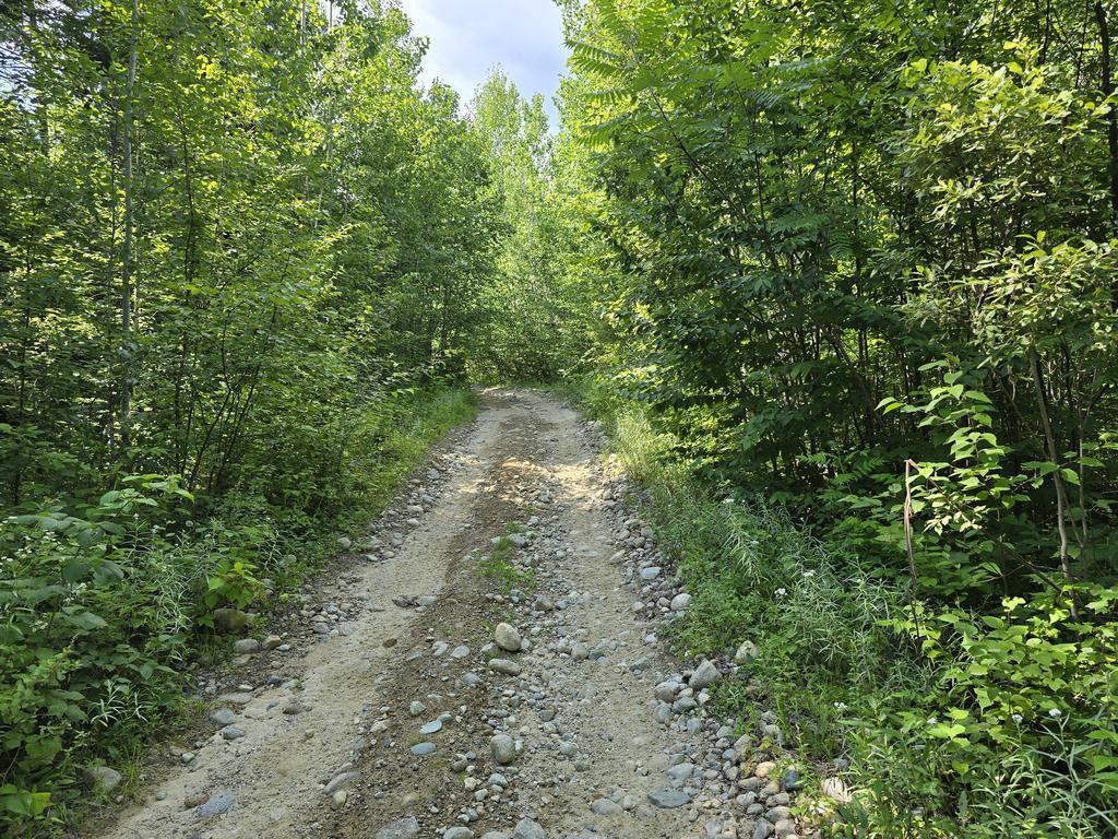 eric Trail Photo