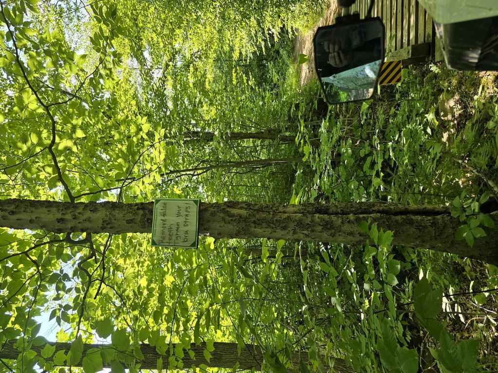 Eric Trail Photo