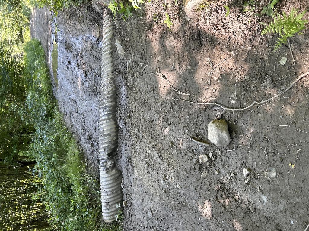 bickbeef Trail Photo