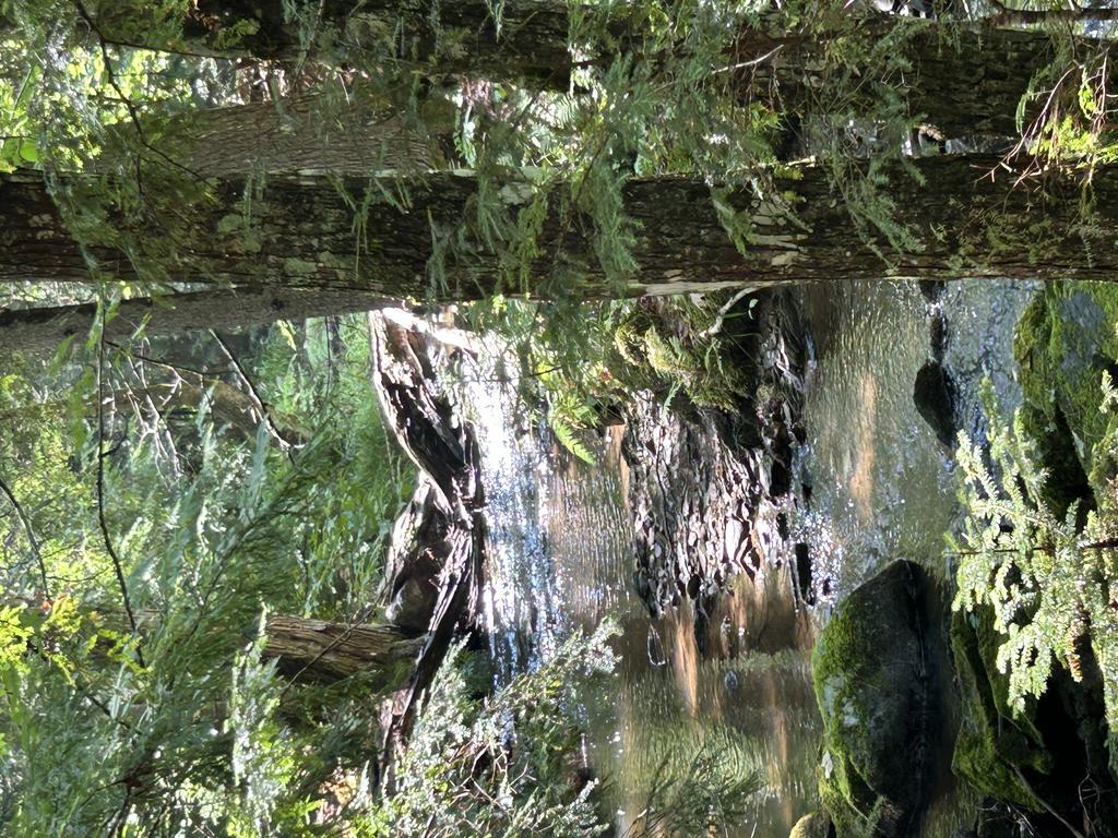 Boydsinmaine Trail Photo