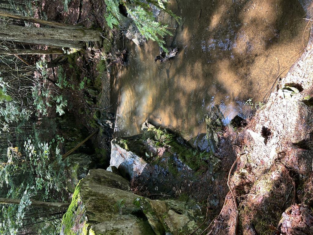 Boydsinmaine Trail Photo