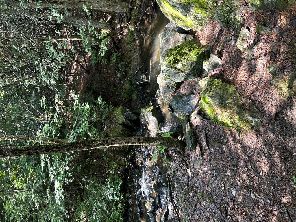 Boydsinmaine Trail Photo