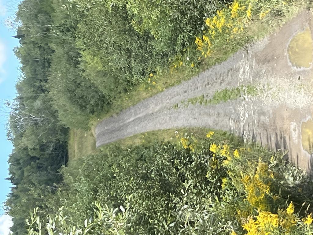 Fv62td757r@Privaterelay.Appleid.Com Trail Photo