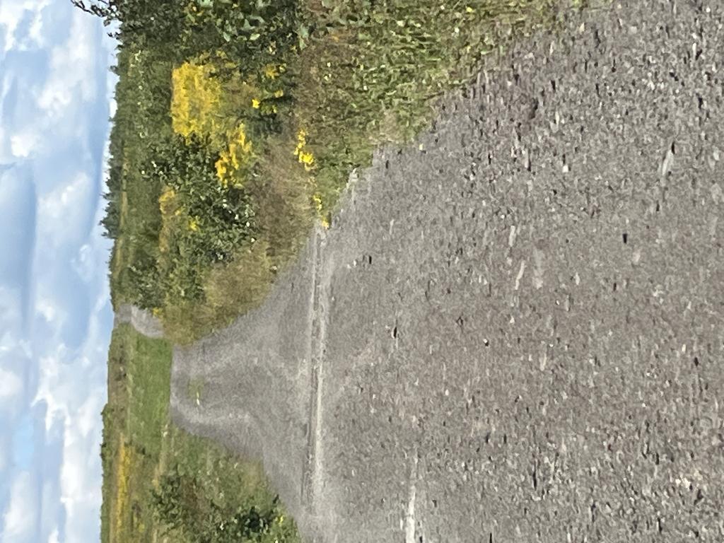 Fv62td757r@Privaterelay.Appleid.Com Trail Photo