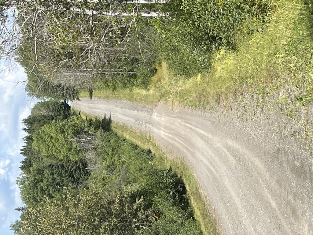 Fv62td757r@Privaterelay.Appleid.Com Trail Photo