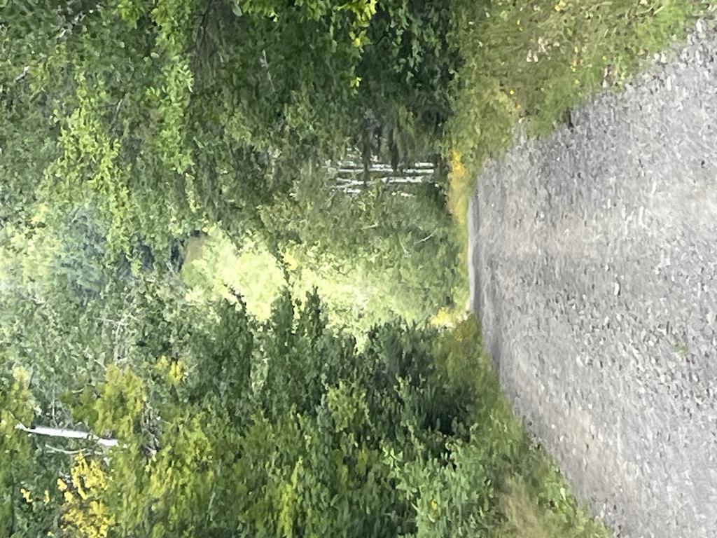 Fv62td757r@Privaterelay.Appleid.Com Trail Photo