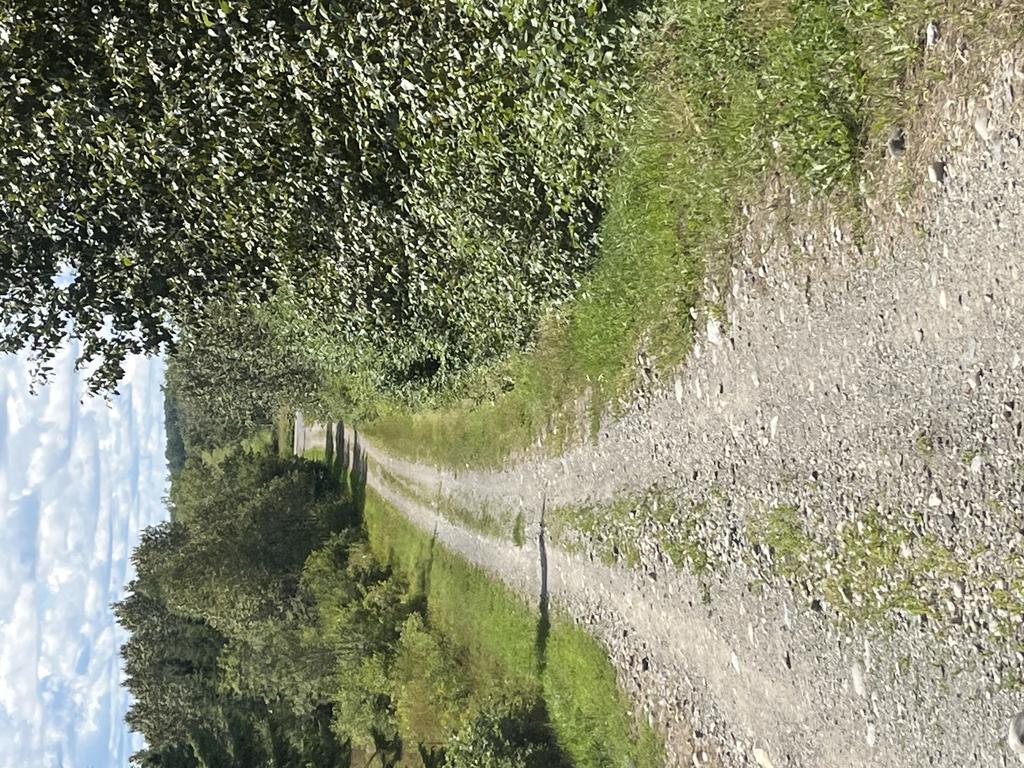 Fv62td757r@Privaterelay.Appleid.Com Trail Photo