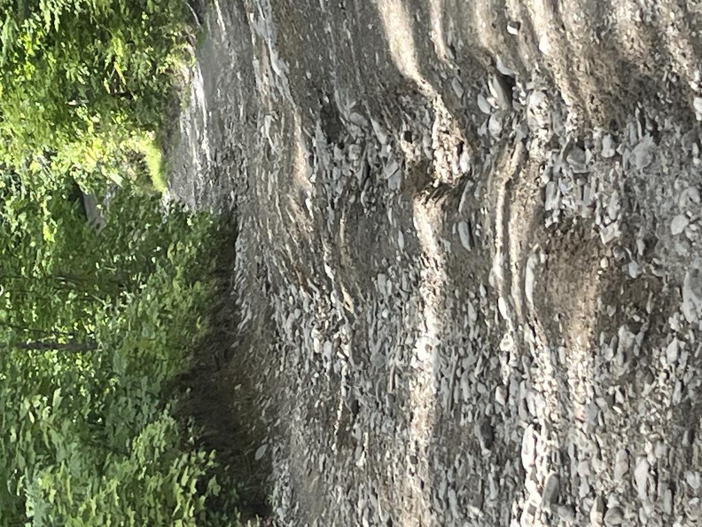 fv62td757r@privaterelay.appleid.com Trail Photo