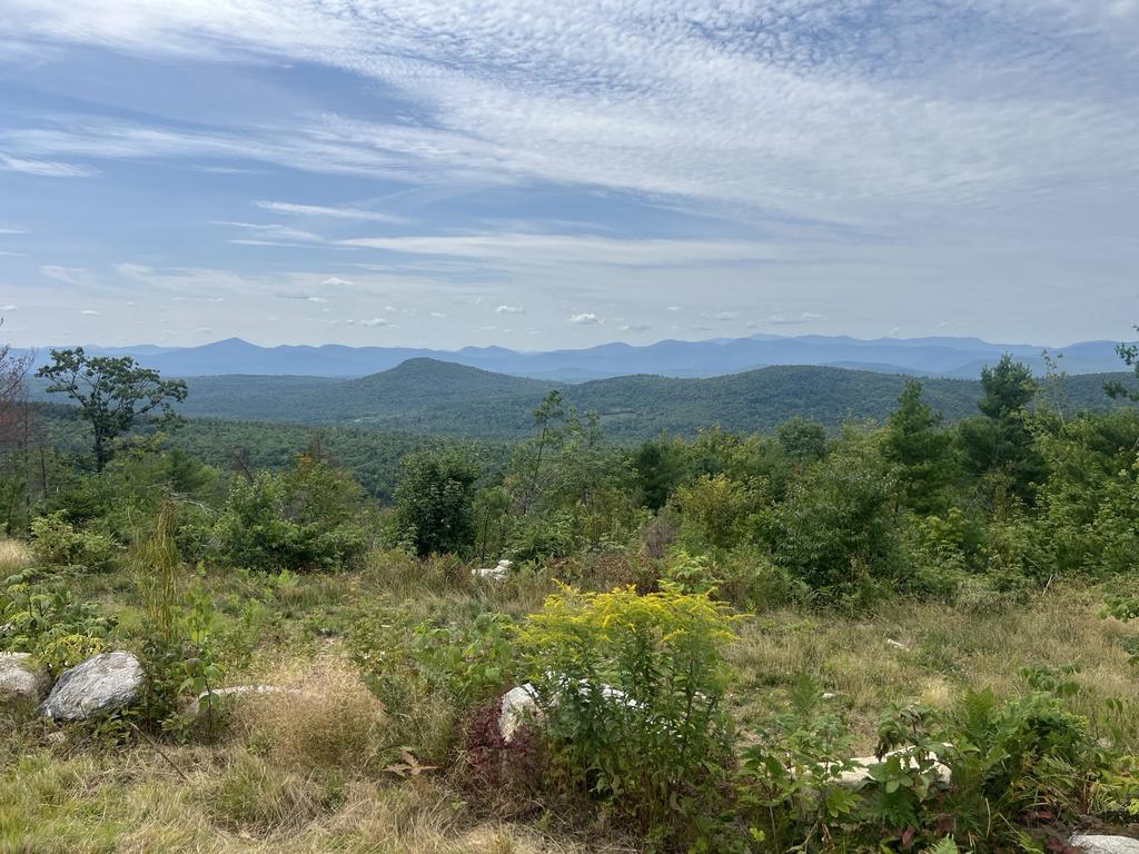 Backcountry Trail Photo