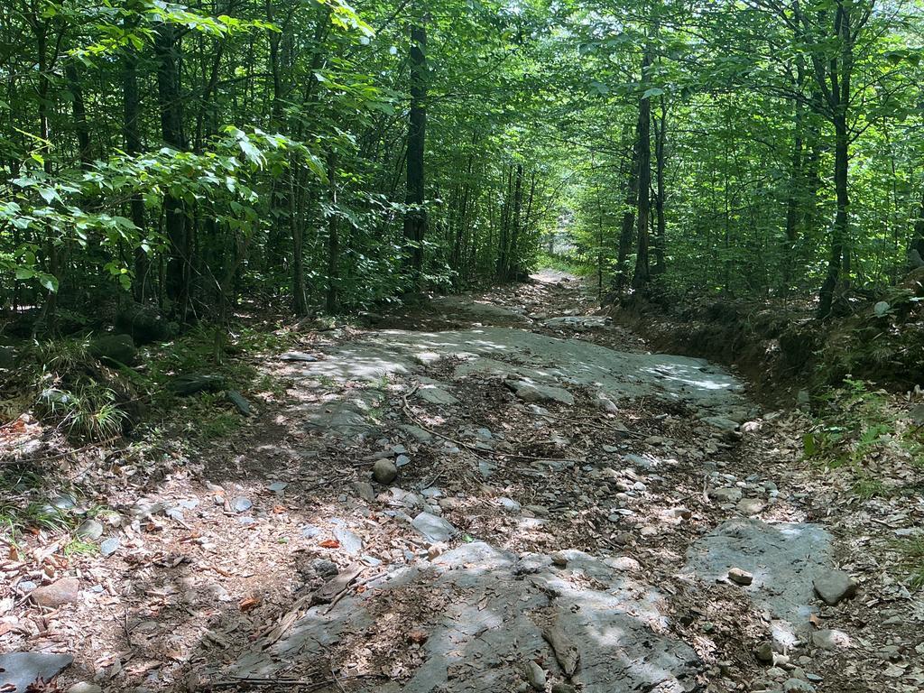 Brian@Trailintel.Com Trail Photo