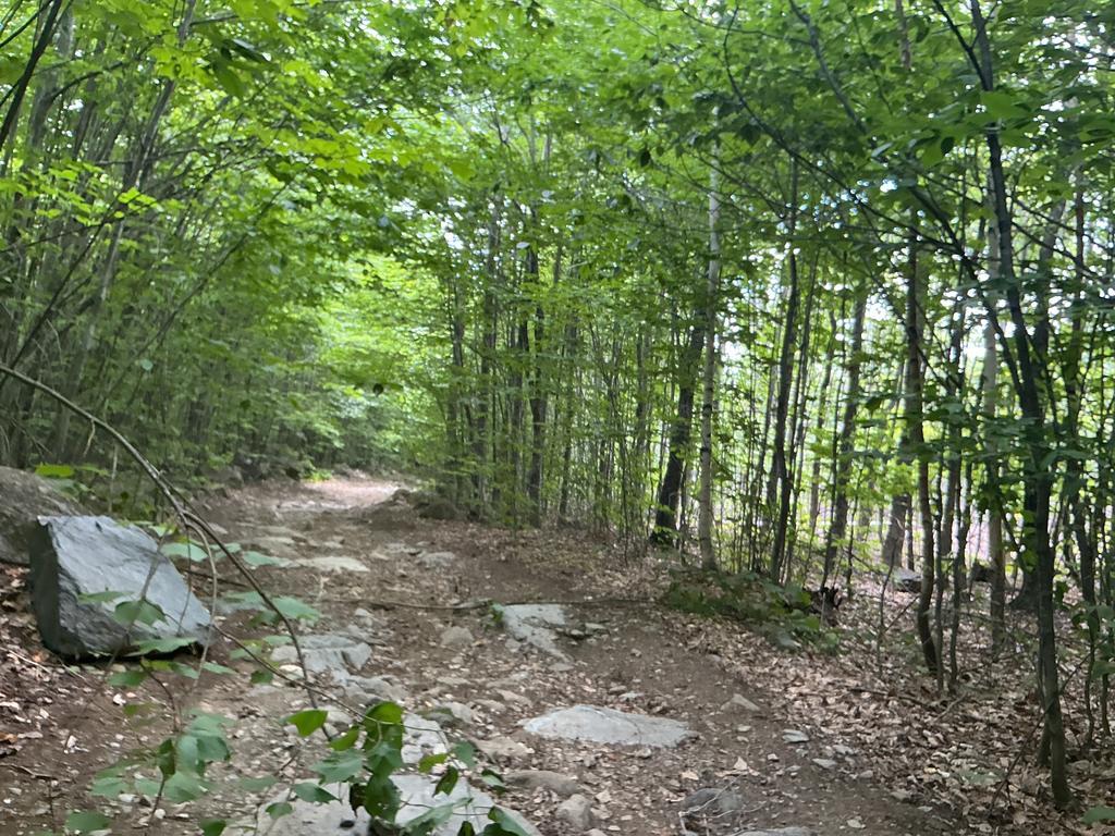 Brian@Trailintel.Com Trail Photo