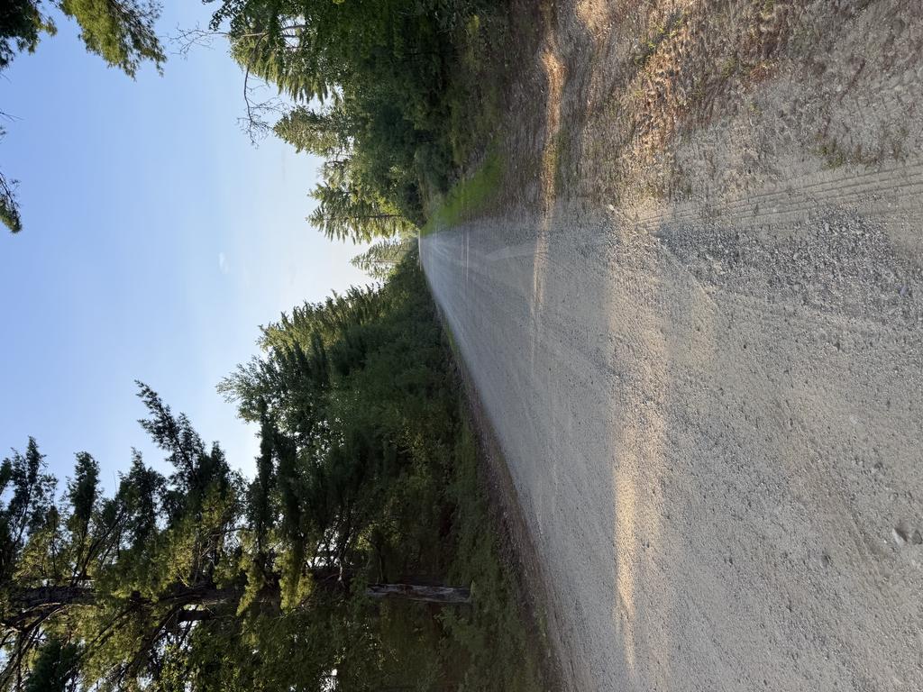 wrenchdad Trail Photo