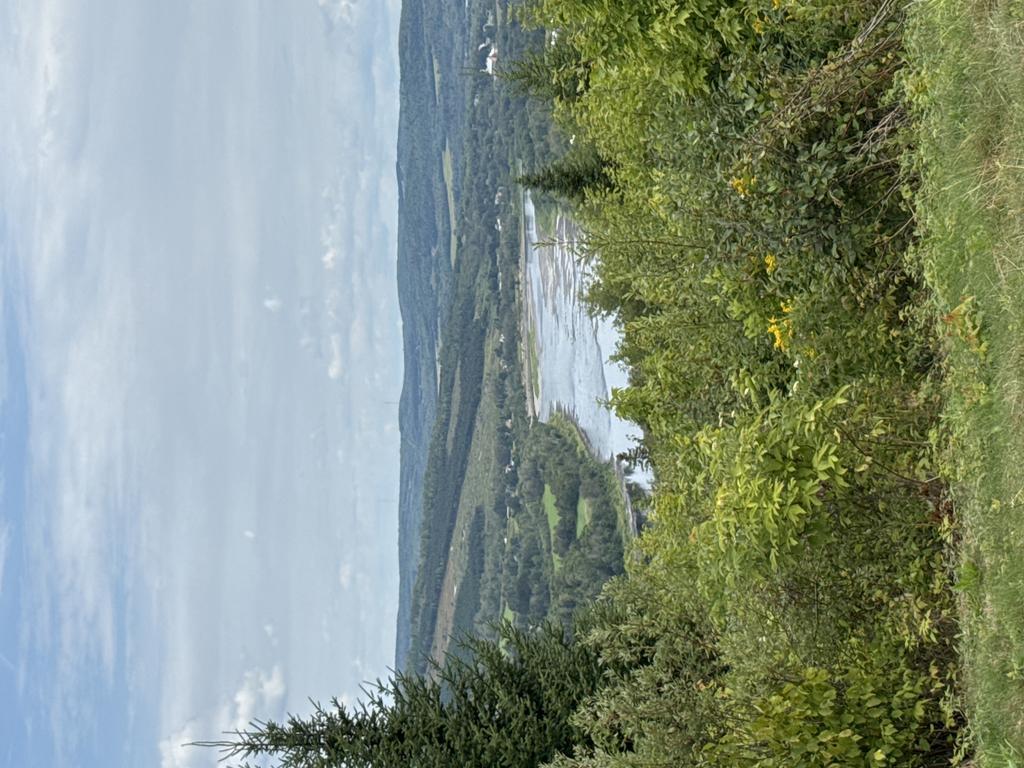 Gpsphoneapp Trail Photo